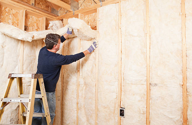 Best Batt and Roll Insulation  in USA